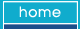 e-design : web design auckland nz
