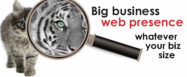 website design services banner