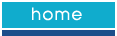 home page icon