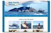 brochure website design