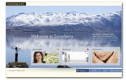 web development project